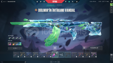 DOLMİR VANDAL TR KURULUM MAİLLİ HESAP