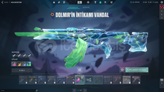 DOLMİR VANDAL*TR SERVER*