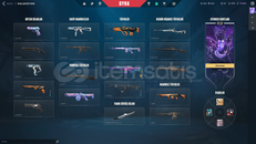 DOLU 2 BIÇAKLI VALO HESABI + LOL HESABI