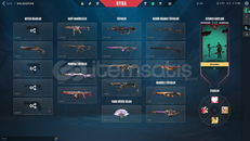 Dolu dolu skinler ile oynayın 