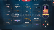 Mail Değişen Dolu Valorant Hesabı