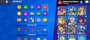 Dolu hesap sarmadiğindan kupa kasmadim 