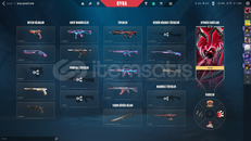 Dolu kampanya hesabı! (çok dolu)