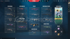 DOLU MAİNLİK YÜCE KİŞİSEL HESAP