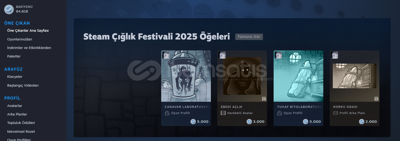 DOLU STEAM HESABI  DOLU STEAM HESABI
