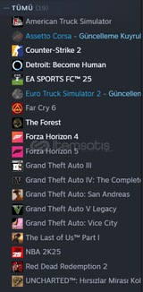 DOLU STEAM HESABI