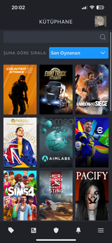 Dolu steam hesabı
