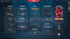 Dolu Temiz Hesap Vandal,Phantom,3 Tabanca,Op Vs