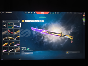 Dolu valotant hesap champions 2024 setlii