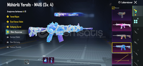 DOLU VE ŞANSLI HESAP 