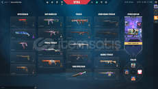 DOLULAR DOLUSU İLK SEZONDAN AKTİF VALO HESABI