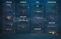  DOLULAR DOLUSU VALORANT HESAP