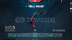 DOLULAR DOLUSU VİDEOLU HESAP