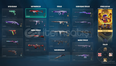 dolusundan mainlik hesap