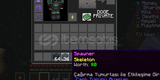 Donu Smp 100 Adet Skeleton Spawner