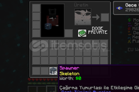 Donut Smp 10 Skeleton Spawner