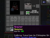 Donut Smp 20 Skeleton Spawner