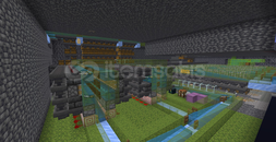 Donut SMP DEVASA KELP FARM