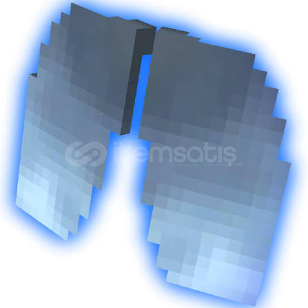 Donut smp Elytra Donut smp Elytra