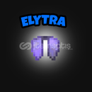 DONUT SMP ELYTRA