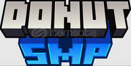 ⭐DonutSMP 100M Money