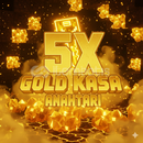 DONUTSMP 5X GOLD KASA ANAHTARI