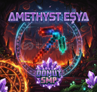 ⭐️DONUTSMP AMETYHST KAZMA ⭐️