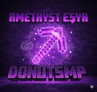 ⭐️DONUTSMP DILEDIĞINIZ AMETHYST EŞYA!⭐️