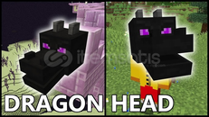 DonutSMP Ejderha Kafası! [ANINDA TESLİMAT]