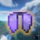 Donutsmp Elytra HIZLI TESLİMAT Donutsmp Elytra HIZLI TESLİMAT