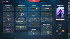 Dopdolu,Eski Valorant/Lol hesabı