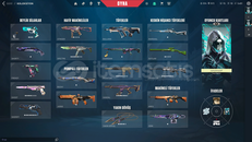 dopdolu ömürlük hesap