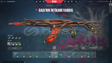 DOPDOLU HESAPP MAİLLİ