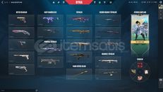 ✨DOPDOLU MAİNLİK UCUZA HESAP✨