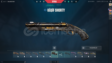 Dopdolu tadını çıkarmalık hesap.