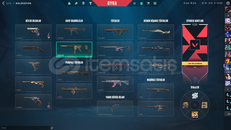 DOPDOLU VALORANT HESABI +8 VANDAL