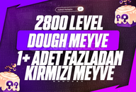 Dough Meyve+ 1+ Kırmızı Meyve+GDH+2800 LVL