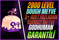Dough Meyve+ 3+ Kırmızı Meyve+GDH+2800 LVL