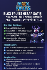 DRACO V4 FULL GEAR KİTSUNE CDK SG 2650 LEVEL