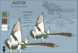 Dragon Adventures Avefir !