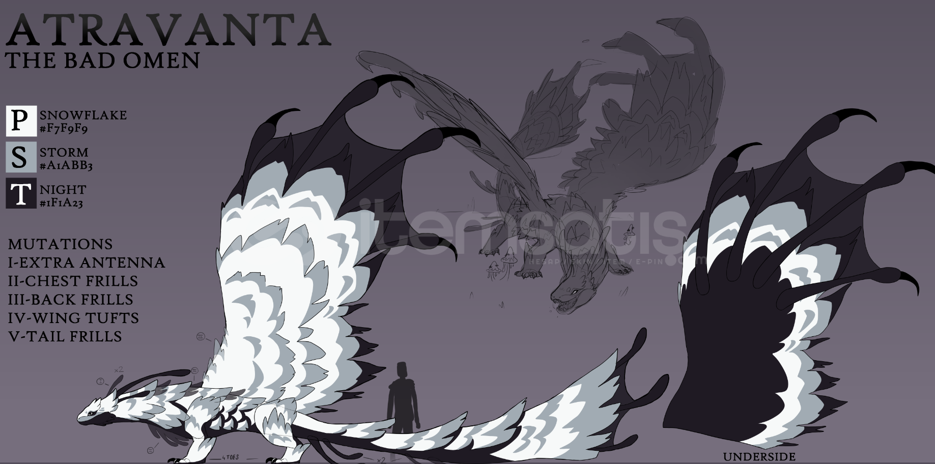 Dragon Adventures Atravanta ! Dragon Adventures Atravanta !