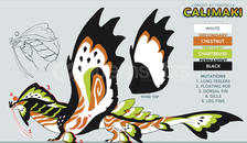 Dragon Adventures Cali.maki ! Dragon Adventures Cali.maki !