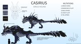 Dragon Adventures Casirius