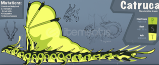 Dragon Adventures Catruca ! Dragon Adventures Catruca !