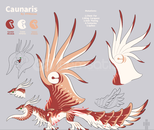 Dragon Adventures Caunaris ! Dragon Adventures Caunaris !