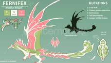 Dragon Adventures Fernifex ! Dragon Adventures Fernifex !