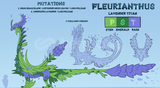 Dragon Adventures Fleurianthus !