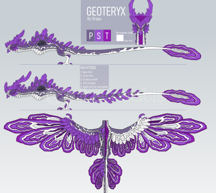 Dragon Adventures Geoteryx ! Dragon Adventures Geoteryx !