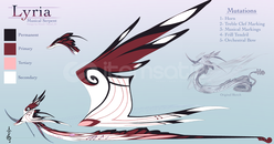 Dragon Adventures Lyria ! Dragon Adventures Lyria !