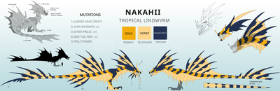 Dragon Adventures Nakahii ! Dragon Adventures Nakahii !